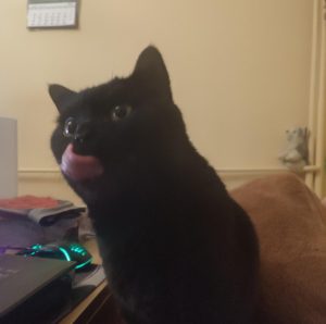 Tzolelet and his mouse